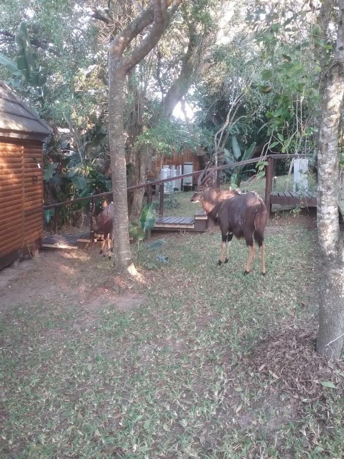House 53 Sodwana Bay Lodge Buitenkant foto